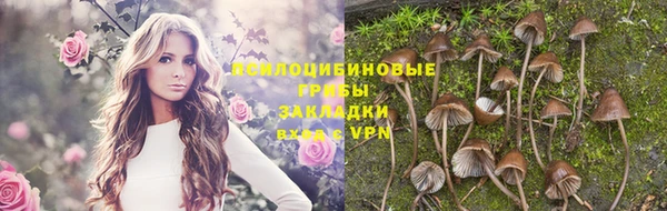 ALPHA PVP Белокуриха