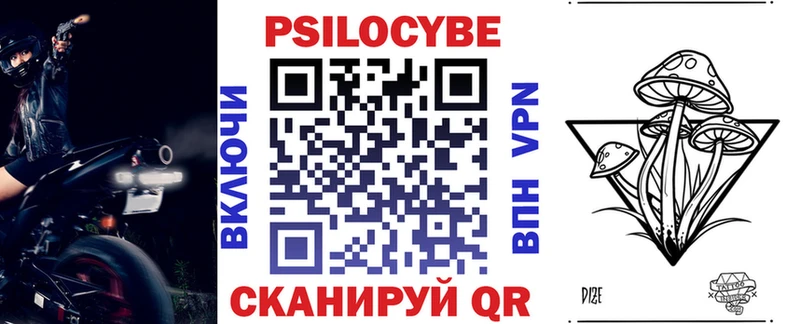 Псилоцибиновые грибы мухоморы  наркотики  Николаевск 